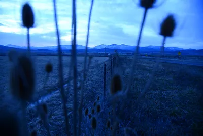 DSC_0953 (Large).JPG